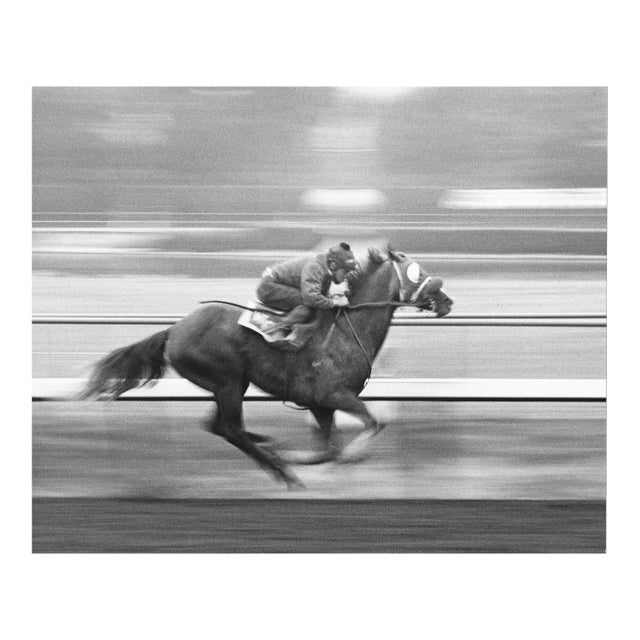 1974 Don Ware Equestrian Photograph For Sale
