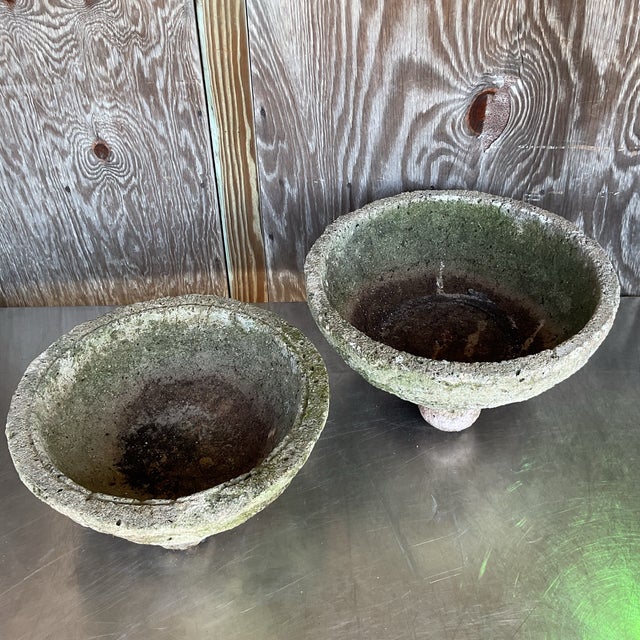 Vintage Boho Cast Concrete Bowl Planters - Set of 2 For Sale In West Palm - Image 6 of 12