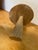Cool and unusual .............Handmade Carved Hardwood Mushroom figurine Approx overall size 7" diameter x 8" tall with 1...