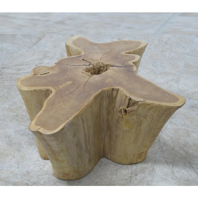Organic Modern Nature Wood Color Coffee Table For Sale - Image 4 of 7