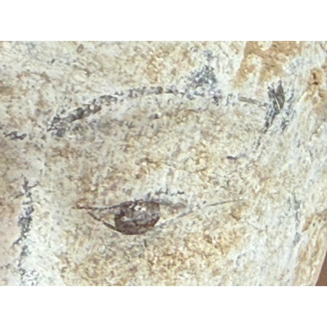 Vintage Asian Heads + Bases, Set of Three For Sale - Image 10 of 12