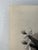 1940s Original Signed Graphite Illustration of Praying Young Girl, 11 × 8.5 In. For Sale - Image 4 of 6