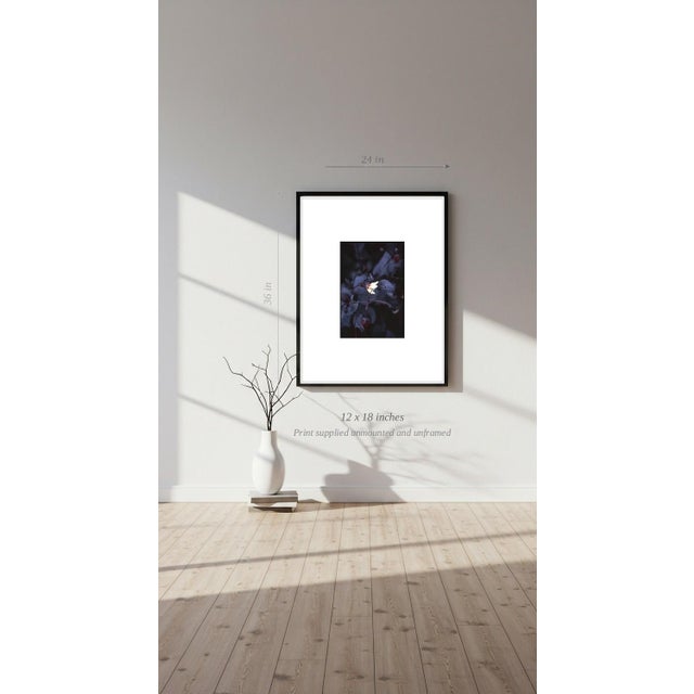 Paul Cooklin, Aquilegan, Edition of 50 For Sale - Image 6 of 7