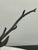 Majestic Antlered Resin Reindeer Sculptures, Pair For Sale - Image 9 of 12
