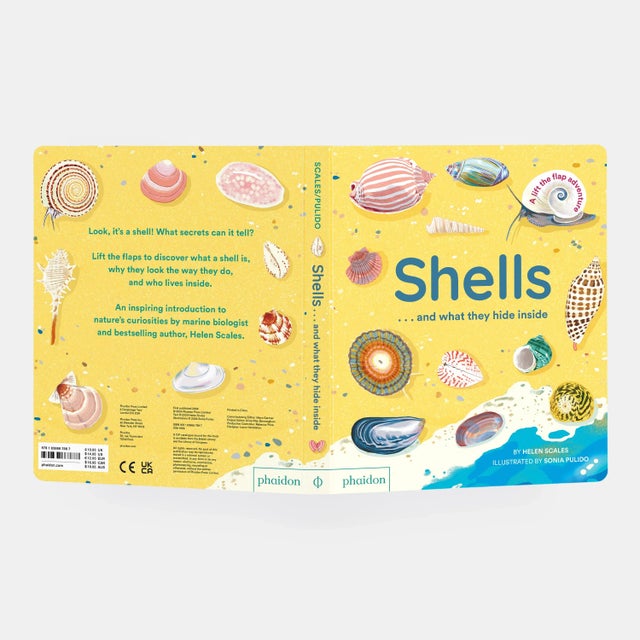 Shells... And What They Hide Inside Book For Sale - Image 4 of 12