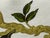 Celerie Kemble for Schumacher Hothouse Flowers Pillows, Pair For Sale - Image 9 of 12