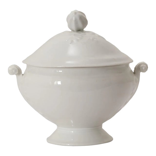 Mid 20th Century French Ironstone Lidded Tureen Chairish