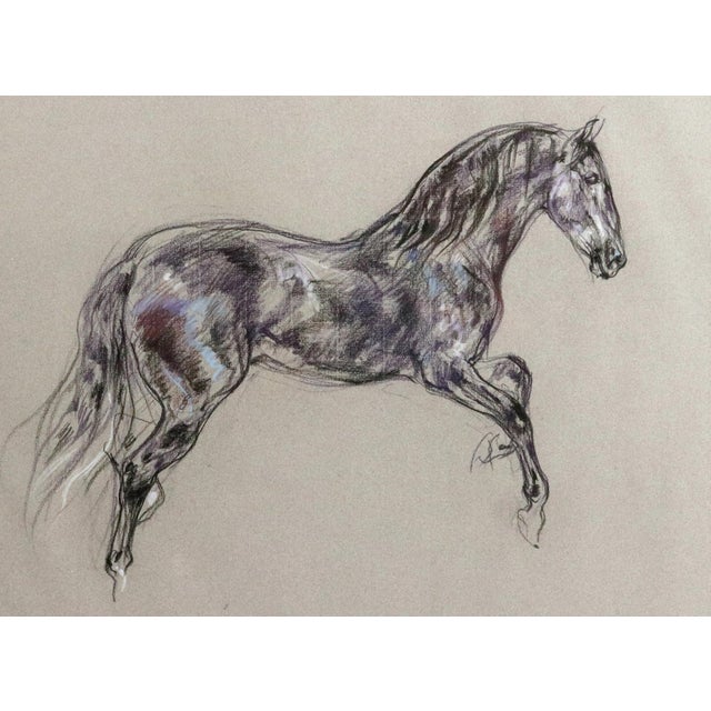 Dynamic Equine Study: Original Pastel by Leslie Charlotte Benenson Dated July 21, 1996 This striking original pastel...