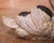 Pair of Mid-Century French Cast Metal Swan Garden Planters With Patina and Gilt For Sale - Image 4 of 10