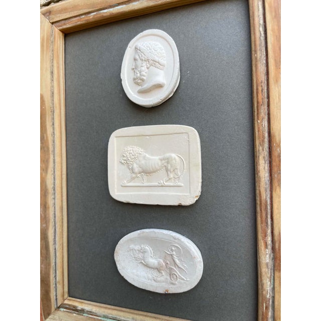 Wax Italian Plaster Intaglios in 1880s Pine Frame For Sale - Image 7 of 8