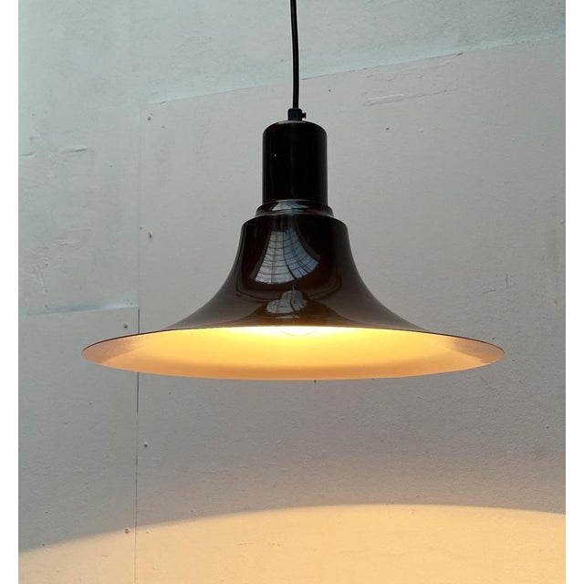Mid-Century Modern Mid-Century Space Age Tulip Pendant Lamp, 1960s For Sale - Image 3 of 18