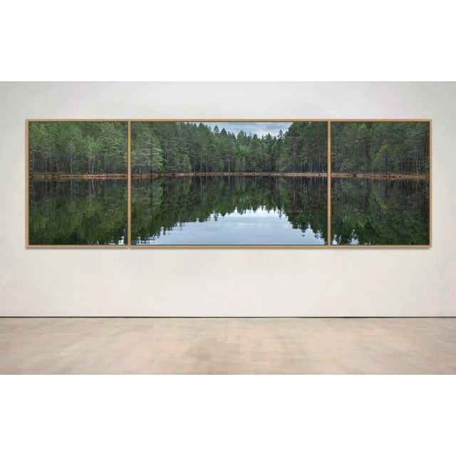 Contemporary "Deep_Mirroring_Forest_014" Triptych, Limited Edition Fine Art Photograph by Bernhard Lang, Set of 3 For Sale - Image 3 of 7