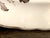 Antique Large Brown Transferware Staffordshire Platter For Sale - Image 9 of 9