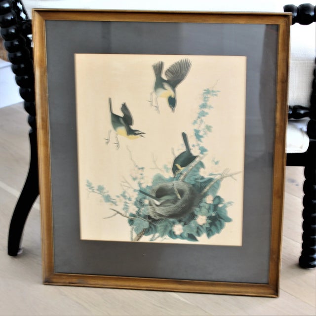 Chinoiserie Framed John James Audubon Chinoiserie Large Lithograph Prints/ Wall Art- Pair For Sale - Image 3 of 8