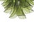 Green Murano Glass Petal Chandelier with Gold-Toned Support, Italy, 1999 For Sale - Image 7 of 10