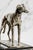 Rare 1920s English Art Deco Ebonized Wood Silverplate Greyhound Statue Sculpture Cigar Box Home Decor For Sale - Image 12 of 18