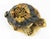 Mid-Century Glass Turtle Paperweight For Sale - Image 3 of 5