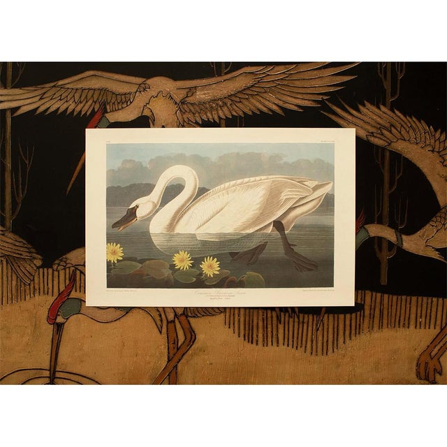 1990s American Swan by Audubon, Large Cottage Style Print For Sale - Image 11 of 12