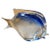 A blue sommerso murano glass modernist sculpture of a tropical fish manufactured in Murano in the Seventies. It's in...