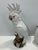 1960s Pair of 1960s Italian Ceramic Cockatoos For Sale - Image 5 of 11