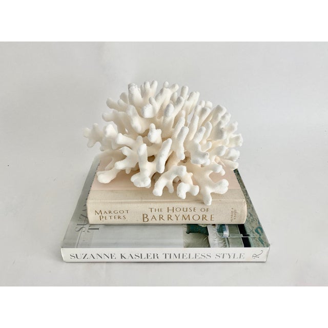 This natural Pacific Elkhorn coral is bright white with good symmetry. Any dark areas in the photos are shadows as a...