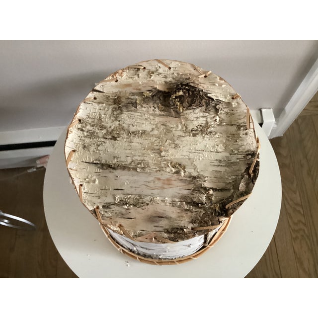 Large Birchbark Wastebasket in the Style of Baskets Made by Native American Arts and Crafts For Sale - Image 12 of 15