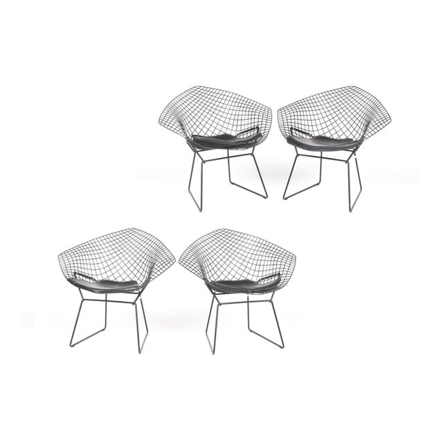 Metal Mid-Century Modern Harry Bertoia Diamond Chairs - Set of 4 For Sale - Image 7 of 7