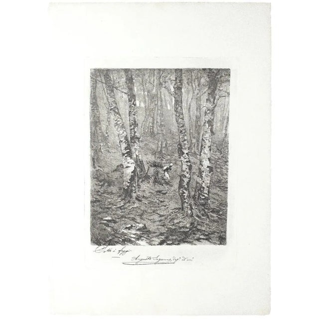 Beeches Etching on Paper by Augusto Sezanne For Sale