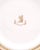 Set of Four Davenport Staffordshire Plates, Circa 1840 For Sale - Image 4 of 11