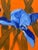 Contemporary Irises Caliente Redux: A Bright Little Gem, Original Painting by George T. Chakos, Framed For Sale - Image 3 of 3