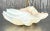 Vintage Coastal Glazed Ceramic Clam Shell For Sale In West Palm - Image 6 of 9