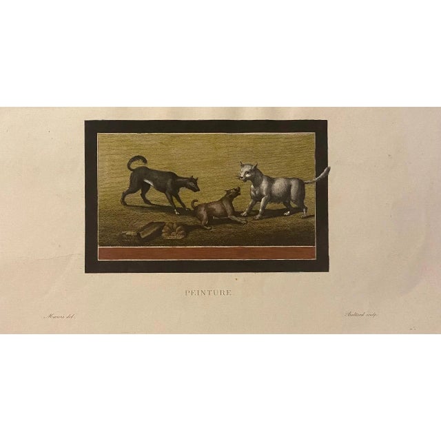 Fresco from Pompeii is a beautiful hand-watercolored etching realized by Francois Mazois, in 1922. Titled on the lower...