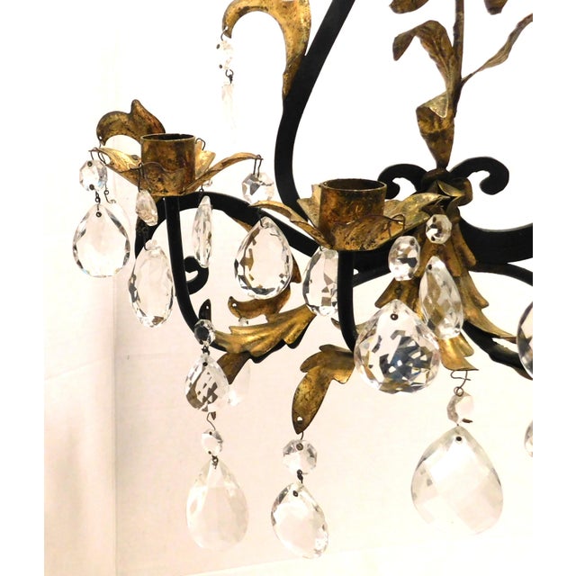 Black and Gold Gilt Metal Floral Wall Sconce, Teardrop Crystals, Candleholders For Sale - Image 4 of 14
