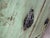 Wood Antique Wooden Florists Counter For Sale - Image 7 of 14