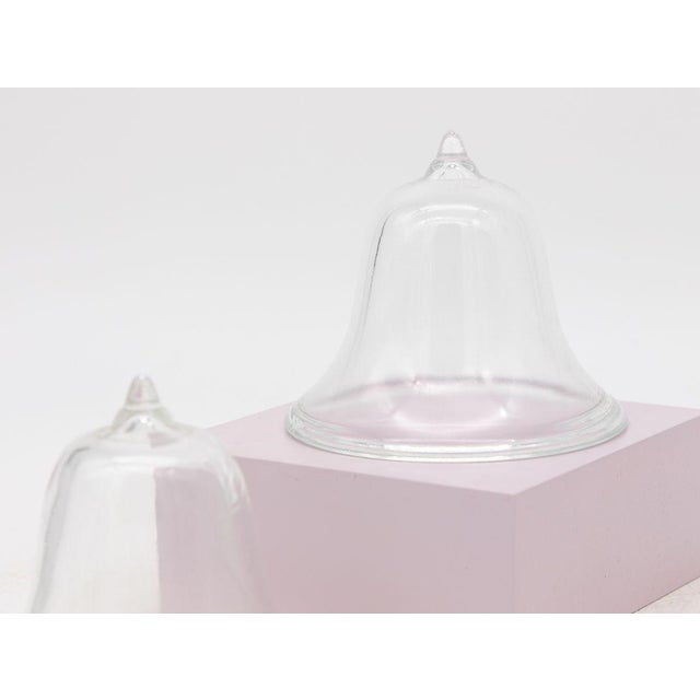 French Set of 3 Glass Garden Cloches, English Mid 20th C. For Sale - Image 3 of 7