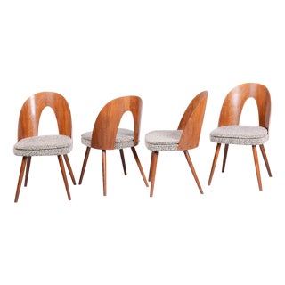 Mid-Century Modern Chairs in Walnut by Antonín Šuman, 1950s, Set of 4 For Sale