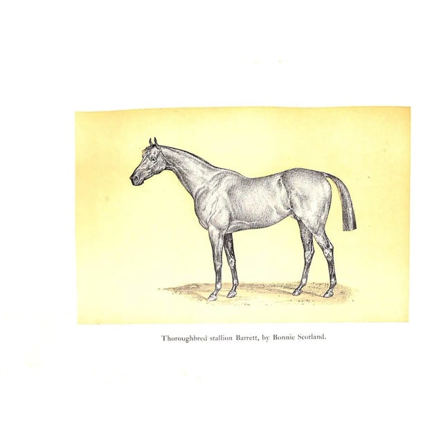 "Cross Country With Horse and Hound" 1902 Peer, Frank Sherman For Sale - Image 12 of 13