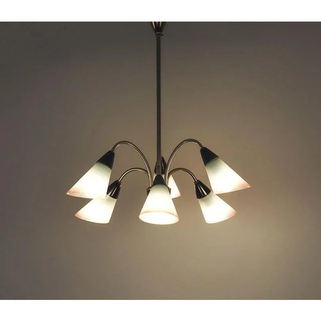 1950s Vintage Italian Chandelier in Brass and Glass, 1950s For Sale - Image 5 of 10