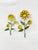 Mid 20th Century Vintage Mid-Century Yellow Metal Sunflower Tole Wall Hooks - Pair For Sale - Image 5 of 6
