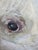 Original Dog Portrait Pastel For Sale - Image 10 of 15
