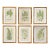 English Victorian Fern Engravings Botanicals Att. Anne Pratt in Gilt Faux Bamboo Frames - Set of 6 For Sale