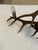Authentic Antler Chandelier For Sale - Image 10 of 11