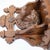 Late 19th Century 19th Century Black Forest Hand-Carved Wood Hunting Dog Wall Bracket Shelf For Sale - Image 5 of 11