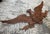 Vintage 1967 Sexton Cast Aluminum American Eagle Wall Sculpture – 40” Wingspan – Made in Usa For Sale - Image 6 of 11