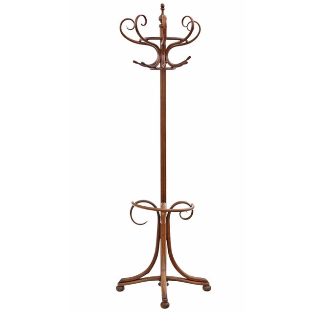 Wood Large Antique Bentwood Coat and Hat Stand, 1890s For Sale - Image 7 of 7