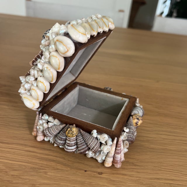 Vintage Mid Century Shell Encrusted Box For Sale In Providence - Image 6 of 7