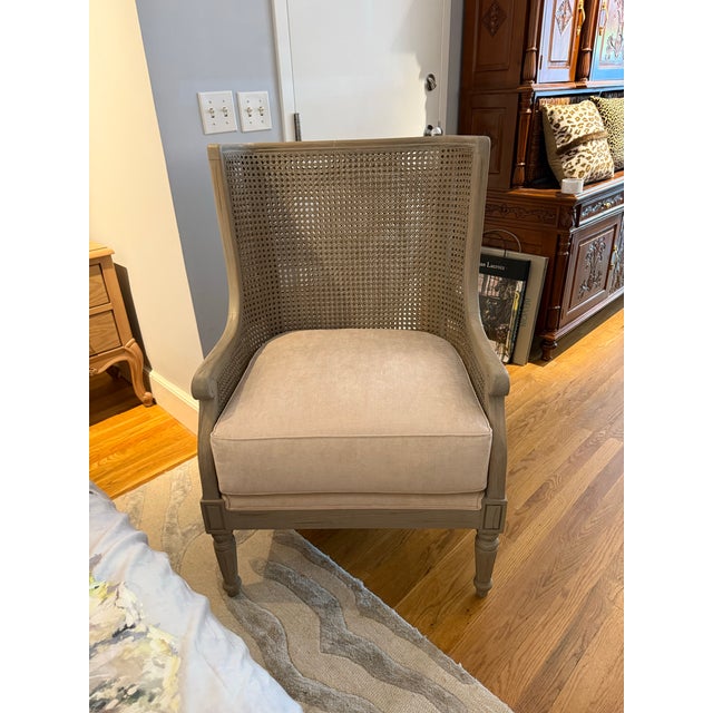 Cane Armchair Reclaimed Weathered Grey Wash For Sale - Image 4 of 12