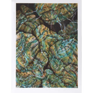 Joan Melnick, Coral 27, Lithograph For Sale