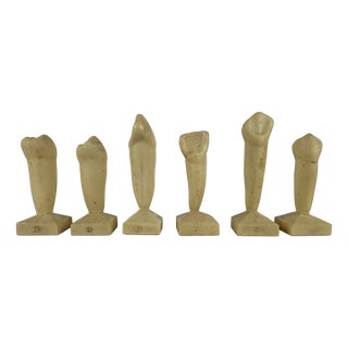Vintage Dentistry Didactic Models, 1970s, Set of 6 For Sale