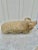 Mid 20th Century 20th Century Vintage Concrete Garden Pig Statue For Sale - Image 5 of 12